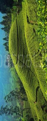 Land Rover Range Rover 2019 - Used Land sale in Sri Lanka - patpat.lk